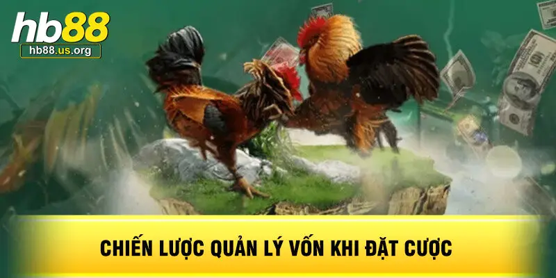 Chiến Lược Quản Lý Vốn Khi Đặt Cược